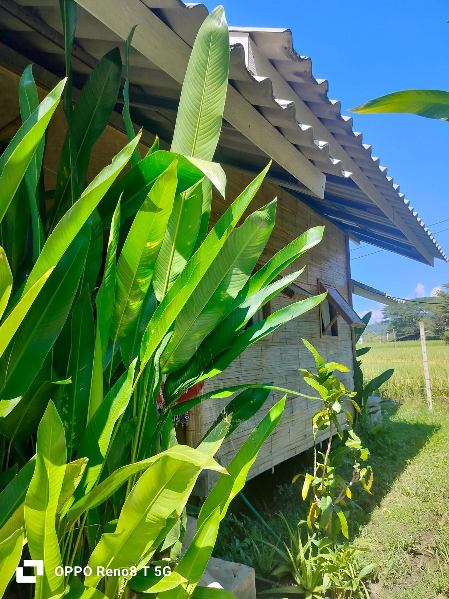 Tulip Resort Pai Room photo