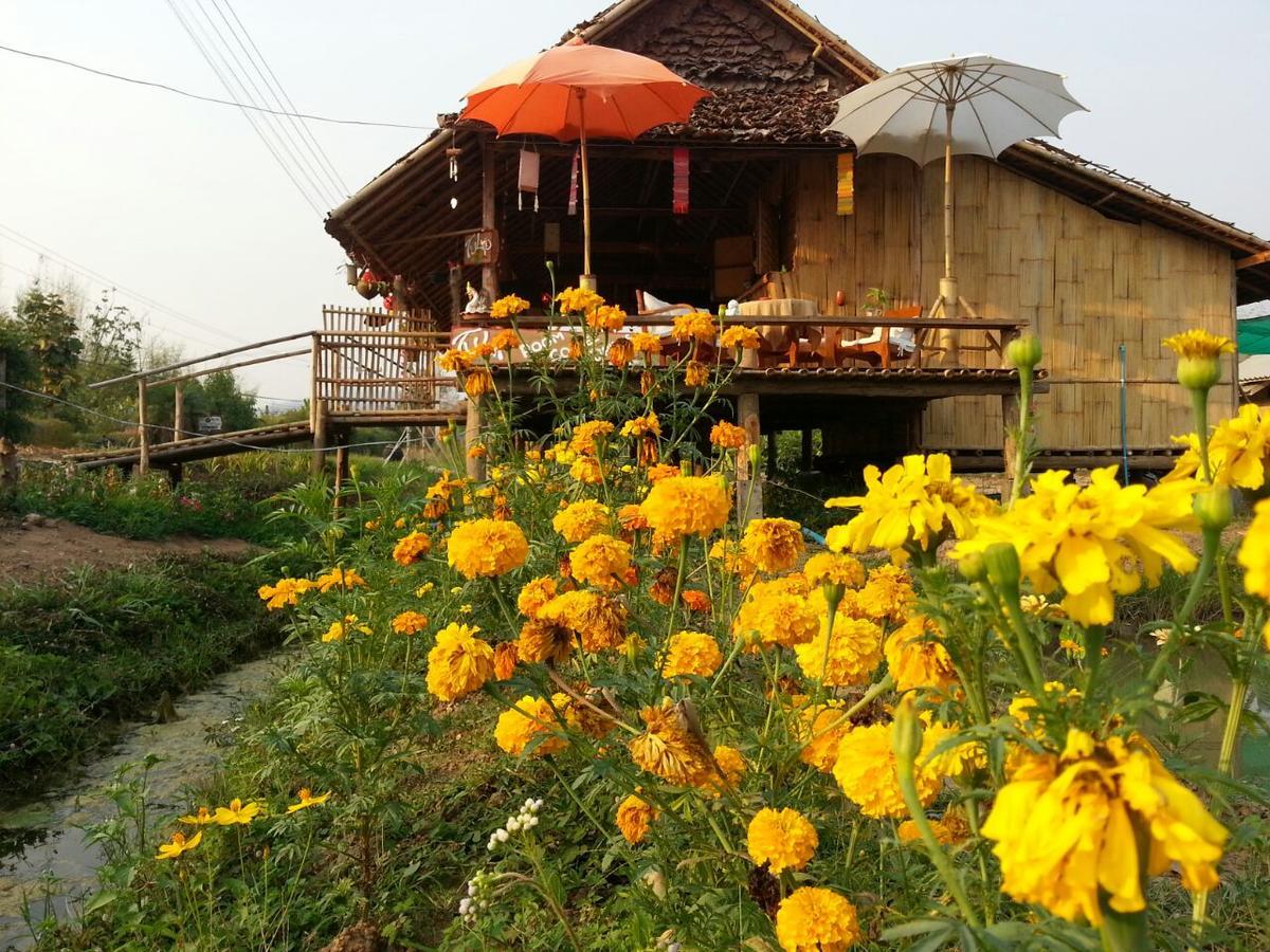 Tulip Resort Pai Exterior photo